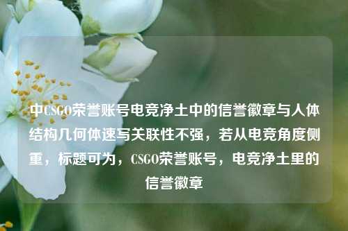 中CSGO荣誉账号电竞净土中的信誉徽章与人体结构几何体速写关联性不强,若从电竞角度侧重,标题可为,CSGO荣誉账号,电竞净土里的信誉徽章