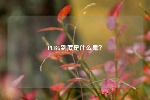 PUBG到底是什么鬼?