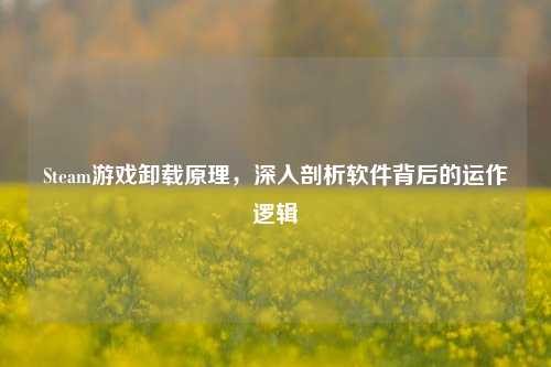 Steam游戏卸载原理，深入剖析软件背后的运作逻辑