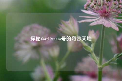 探秘Zard Steam号的奇妙天地