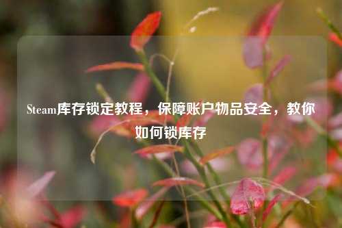 Steam库存锁定教程,保障账户物品安全,教你如何锁库存