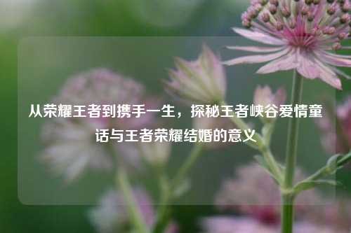 从荣耀王者到携手一生,探秘王者峡谷爱情童话与王者荣耀结婚的意义