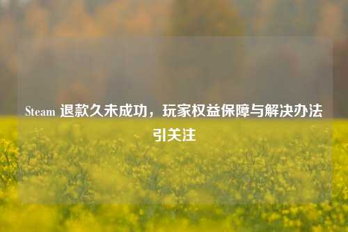 Steam 退款久未成功,玩家权益保障与解决办法引关注
