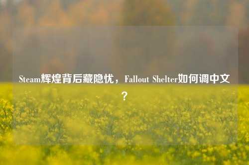 Steam辉煌背后藏隐忧,Fallout Shelter如何调中文?
