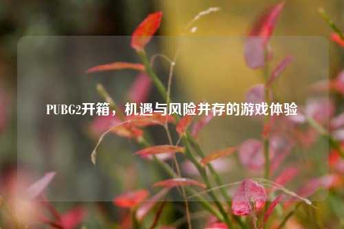 PUBG2开箱，机遇与风险并存的游戏体验