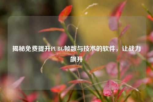 揭秘免费提升PUBG帧数与技术的软件，让战力飙升