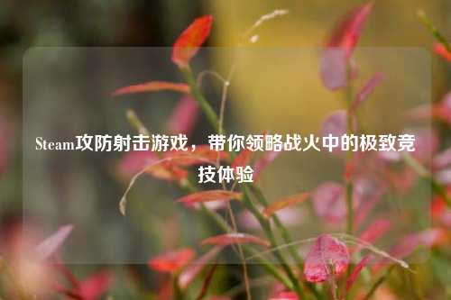 Steam攻防射击游戏，带你领略战火中的极致竞技体验