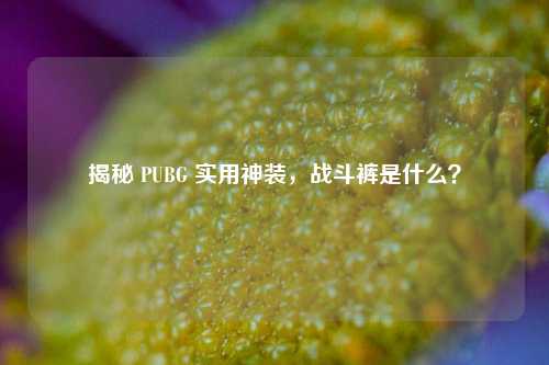 揭秘 PUBG 实用神装，战斗裤是什么？