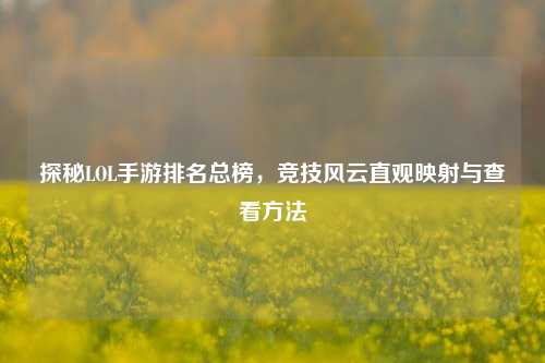 探秘LOL手游排名总榜,竞技风云直观映射与查看方法