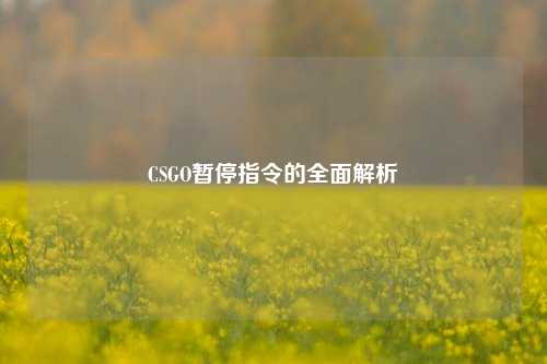 CSGO暂停指令的全面解析