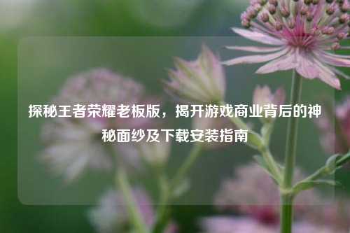 探秘王者荣耀老板版,揭开游戏商业背后的神秘面纱及下载安装指南