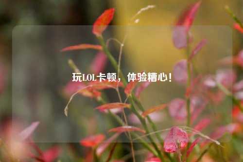 玩LOL卡顿，体验糟心！