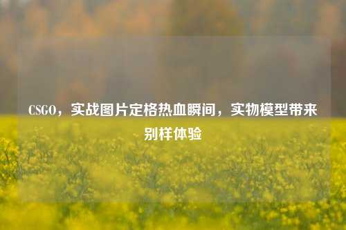 CSGO,实战图片定格热血瞬间,实物模型带来别样体验