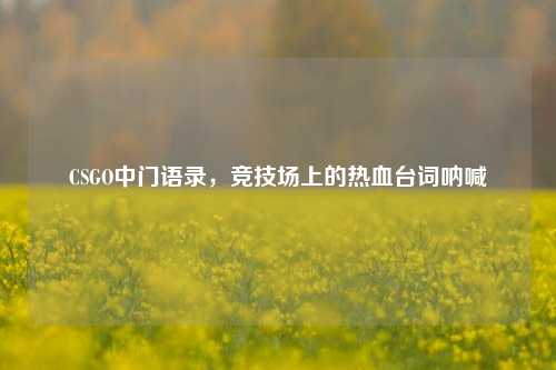 CSGO中门语录,竞技场上的热血台词呐喊