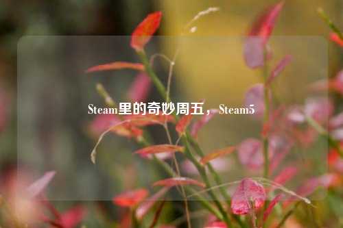 Steam里的奇妙周五，Steam5