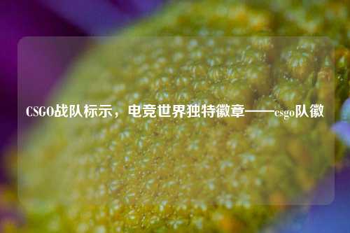 CSGO战队标示,电竞世界独特徽章——csgo队徽