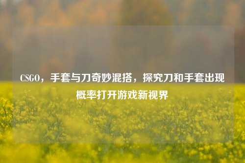 CSGO,手套与刀奇妙混搭,探究刀和手套出现概率打开游戏新视界