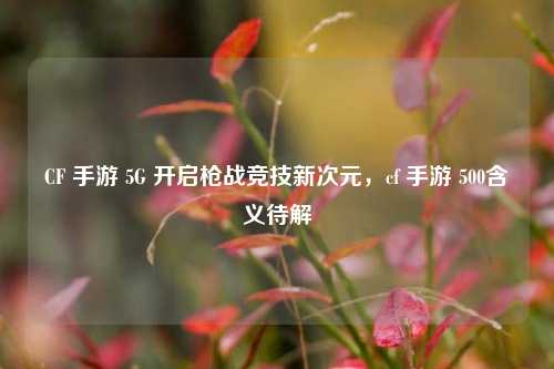 CF 手游 5G 开启枪战竞技新次元,cf 手游 500含义待解