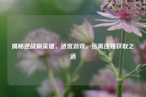 揭秘逆战刷英雄,适度游戏,远离违规获取之道