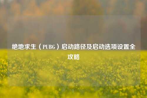 绝地求生(PUBG)启动路径及启动选项设置全攻略