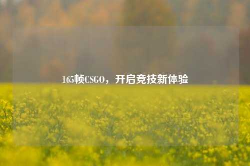 165帧CSGO，开启竞技新体验
