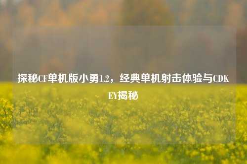 探秘CF单机版小勇1.2,经典单机射击体验与CDKEY揭秘