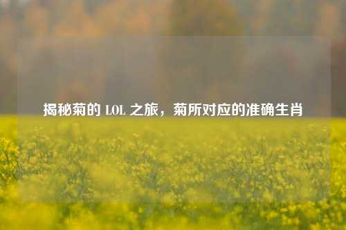 揭秘菊的 LOL 之旅,菊所对应的准确生肖