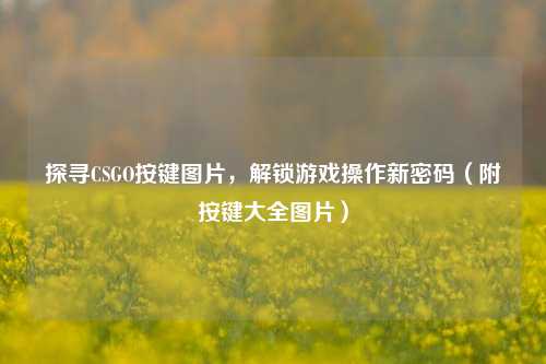 探寻CSGO按键图片，解锁游戏操作新密码（附按键大全图片）
