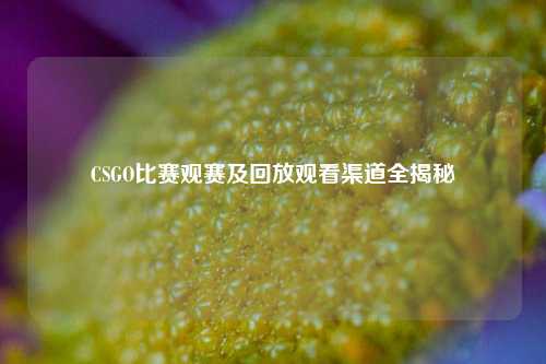 CSGO比赛观赛及回放观看渠道全揭秘