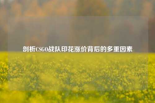 剖析CSGO战队印花涨价背后的多重因素