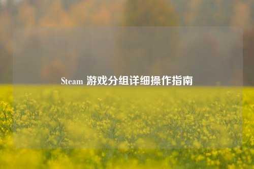 Steam 游戏分组详细操作指南