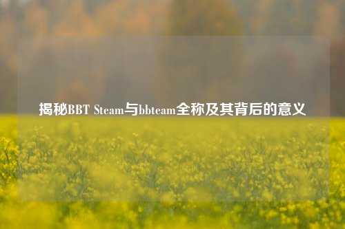揭秘BBT Steam与bbteam全称及其背后的意义