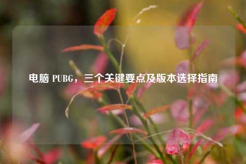 电脑 PUBG,三个关键要点及版本选择指南