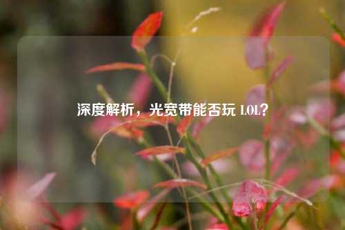 深度解析,光宽带能否玩 LOL?