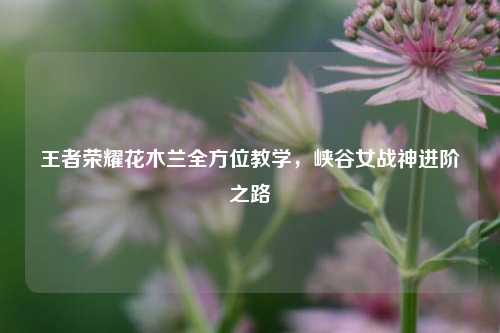 王者荣耀花木兰全方位教学,峡谷女战神进阶之路