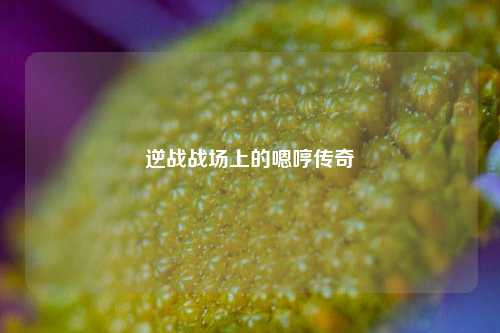 逆战战场上的嗯哼传奇