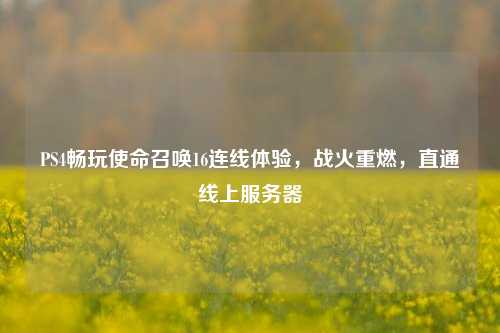 PS4畅玩使命召唤16连线体验，战火重燃，直通线上服务器