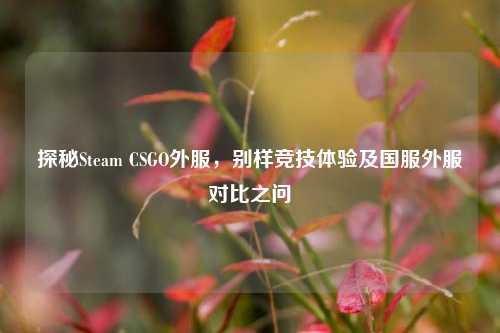 探秘Steam CSGO外服,别样竞技体验及国服外服对比之问