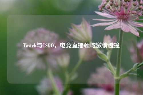 Twitch与CSGO,电竞直播领域激情碰撞