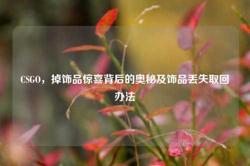 CSGO,掉饰品惊喜背后的奥秘及饰品丢失取回办法