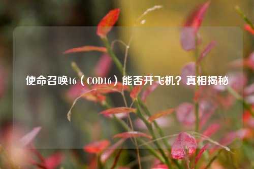 使命召唤16（COD16）能否开飞机？真相揭秘