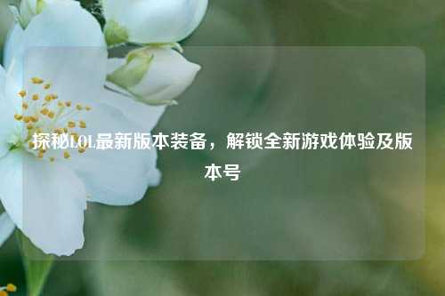 探秘LOL最新版本装备，解锁全新游戏体验及版本号