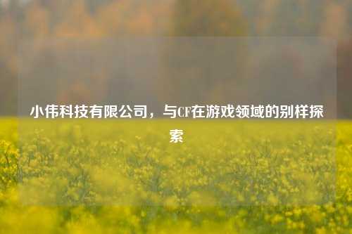 小伟科技有限公司,与CF在游戏领域的别样探索