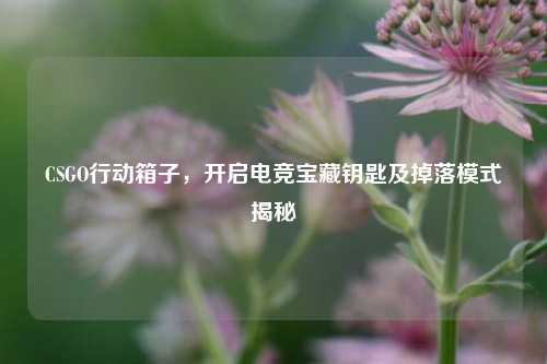 CSGO行动箱子，开启电竞宝藏钥匙及掉落模式揭秘