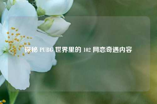 探秘 PUBG 世界里的 102 网恋奇遇内容