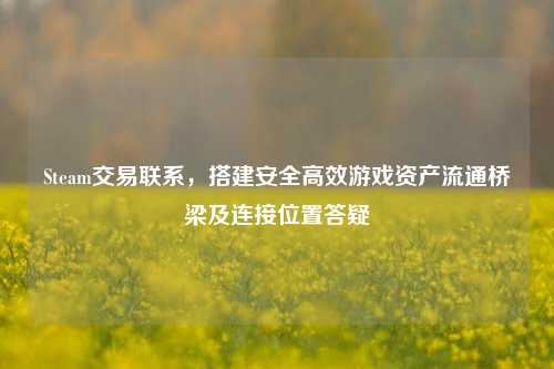 Steam交易联系,搭建安全高效游戏资产流通桥梁及连接位置答疑