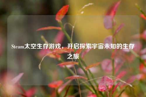 Steam太空生存游戏，开启探索宇宙未知的生存之旅