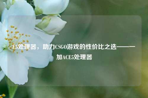 E5处理器,助力CSGO游戏的性价比之选——一加ACE5处理器