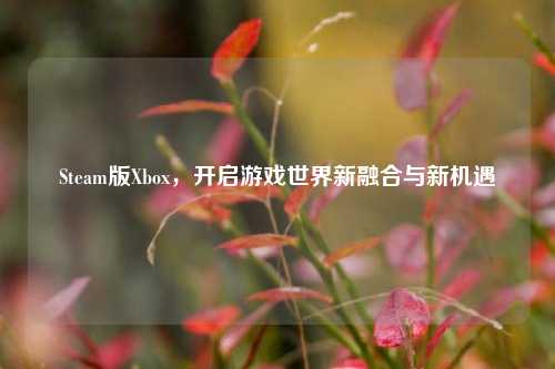 Steam版Xbox，开启游戏世界新融合与新机遇