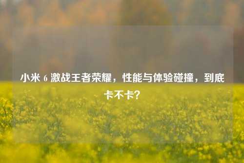 小米 6 激战王者荣耀,性能与体验碰撞,到底卡不卡?